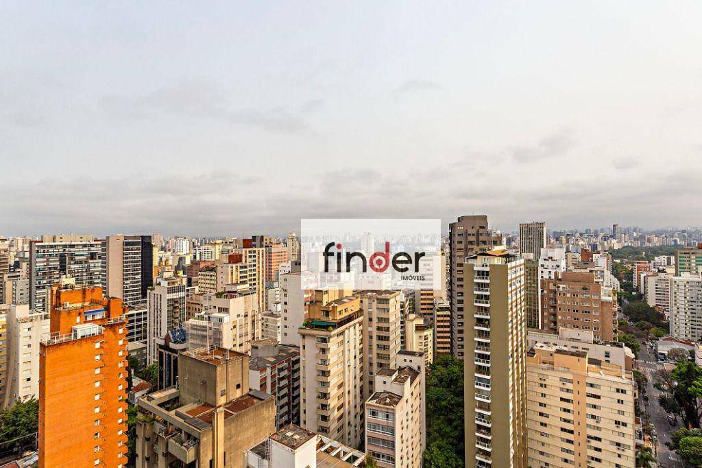 Apartamento à venda com 3 quartos, 227m² - Foto 11