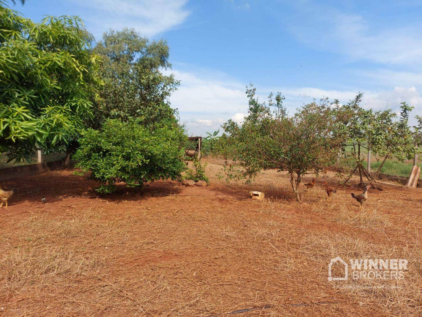 Chácara à venda com 3 quartos, 1500M2 - Foto 42