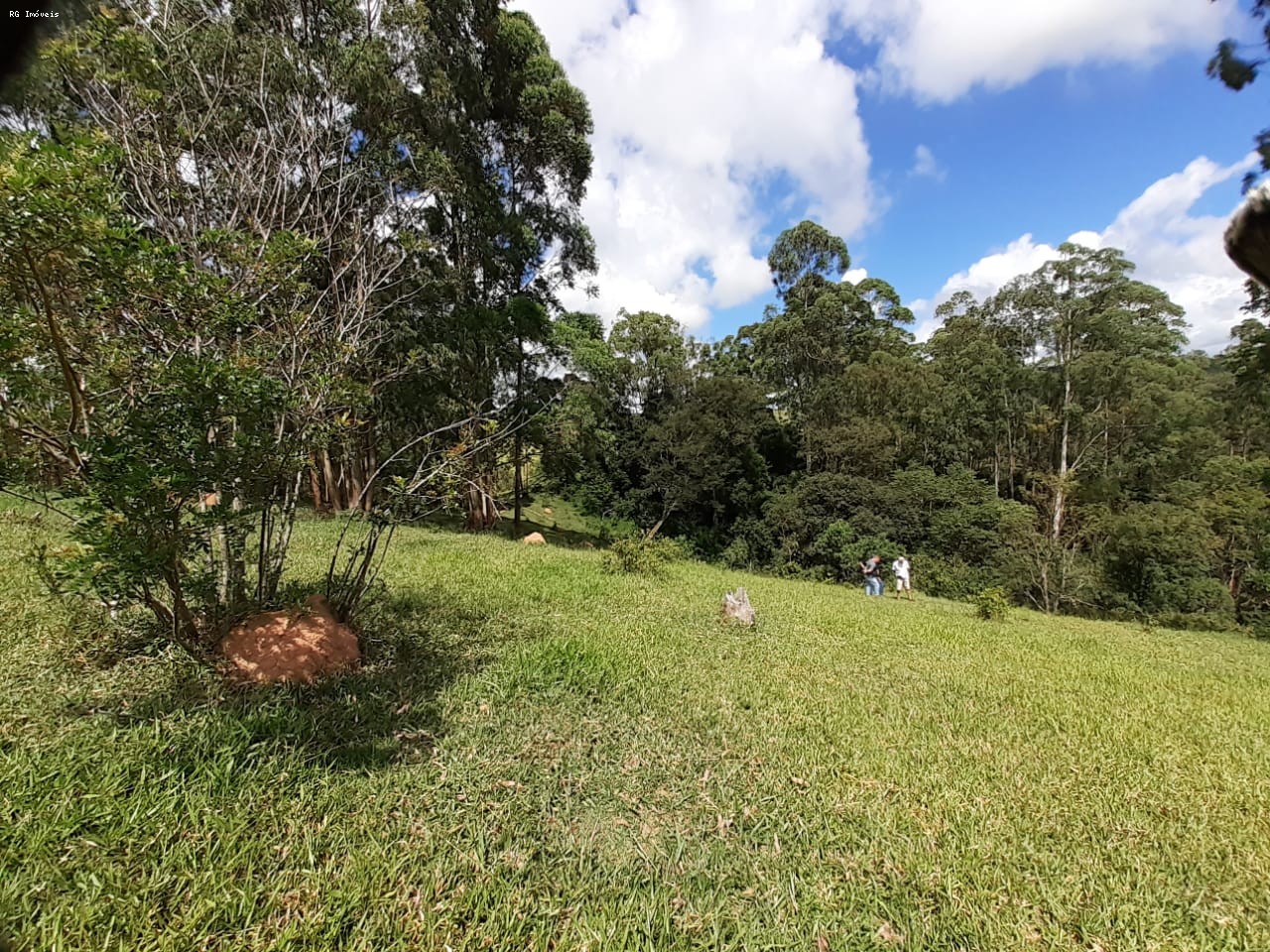 Sítio à venda com 2 quartos, 2200m² - Foto 3