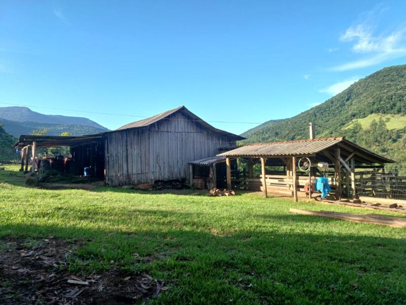 Sítio à venda com 1 quarto, 150m² - Foto 32