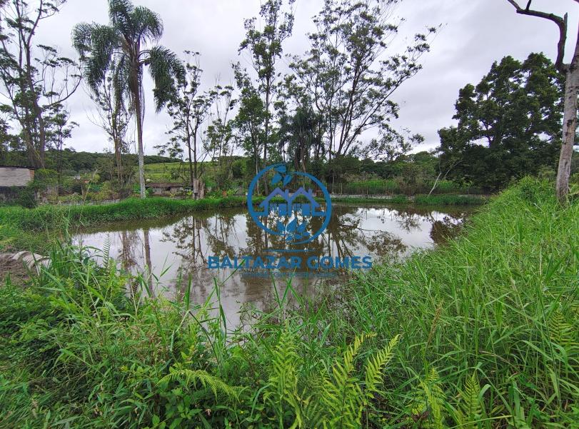 Fazenda à venda com 2 quartos, 10300m² - Foto 10