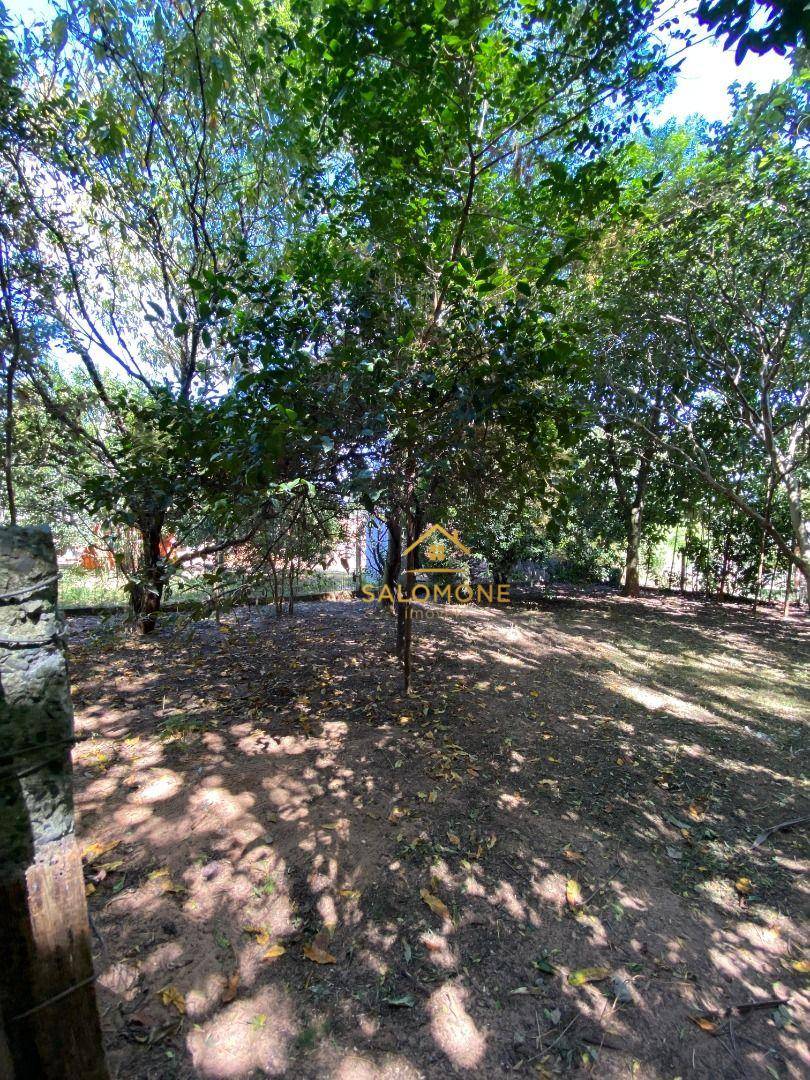 Sítio, 2 quartos, 993 m² - Foto 5