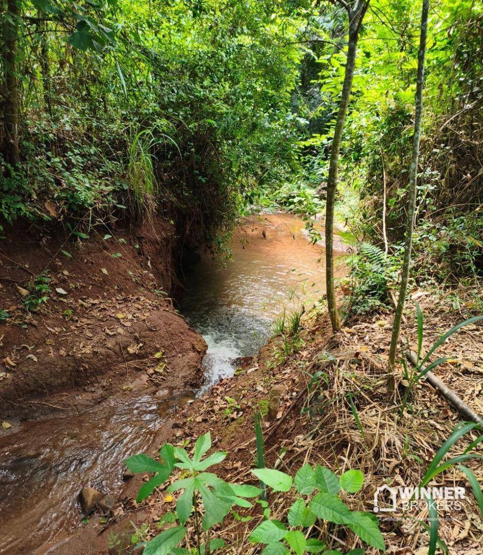 Chácara à venda, 2000M2 - Foto 12
