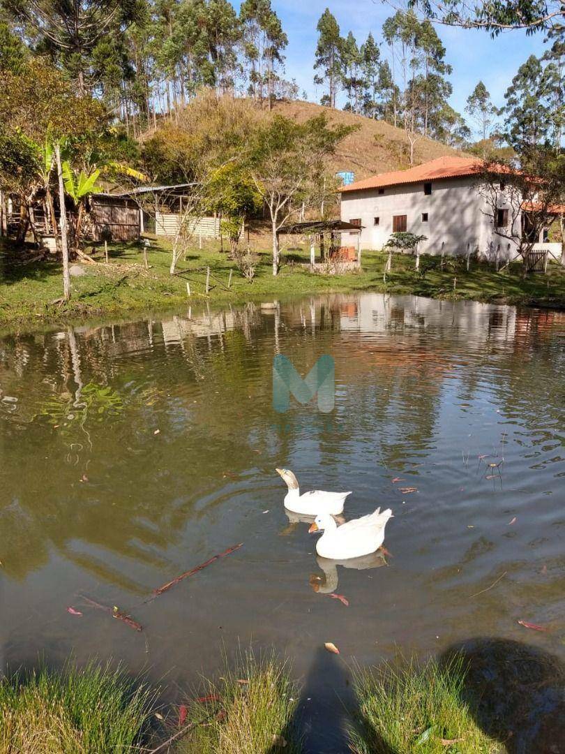 Sítio à venda com 4 quartos, 370m² - Foto 7