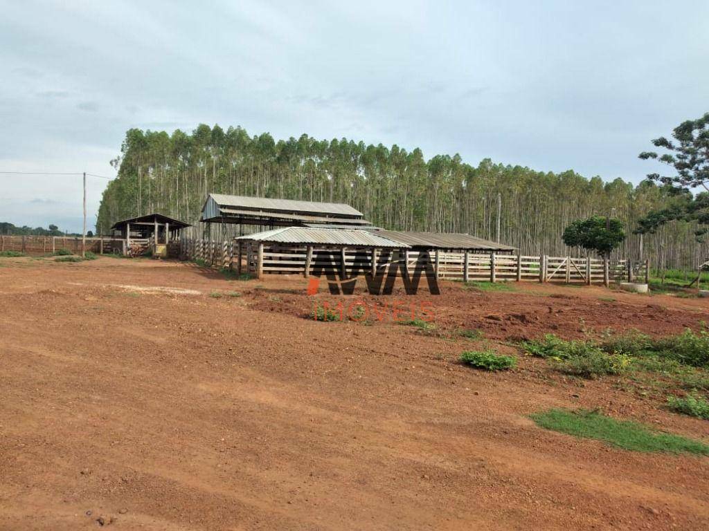 Fazenda à venda, 87120000M2 - Foto 30