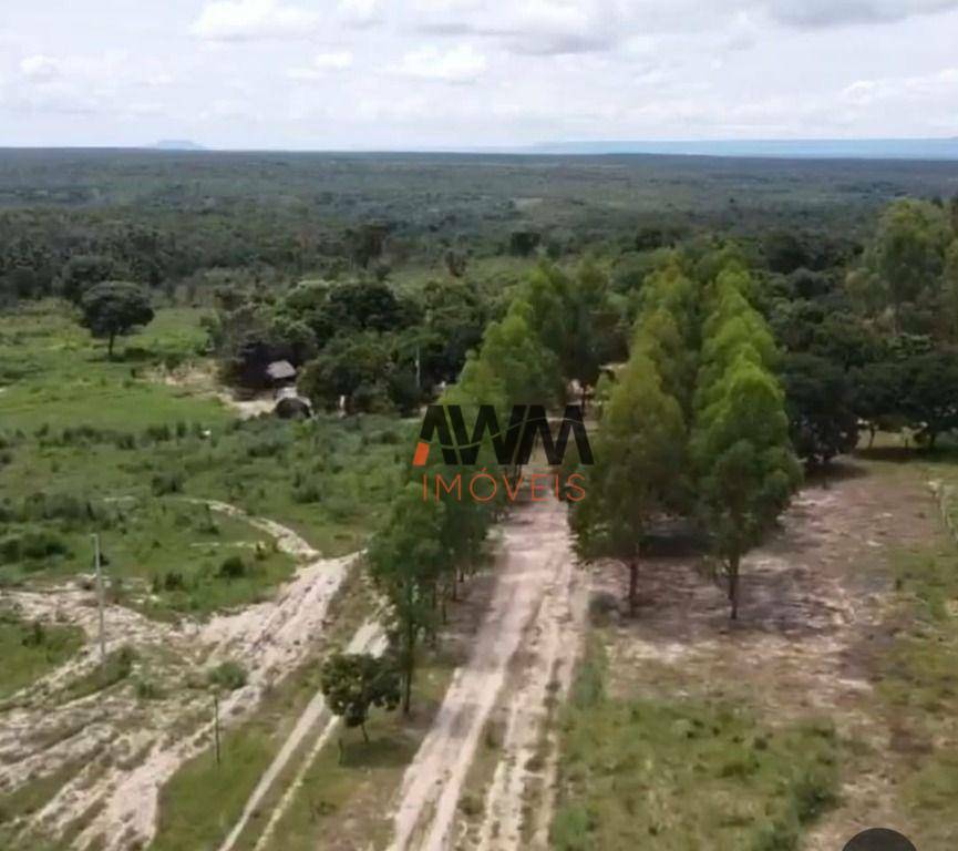 Fazenda à venda com 6 quartos, 1960000M2 - Foto 21