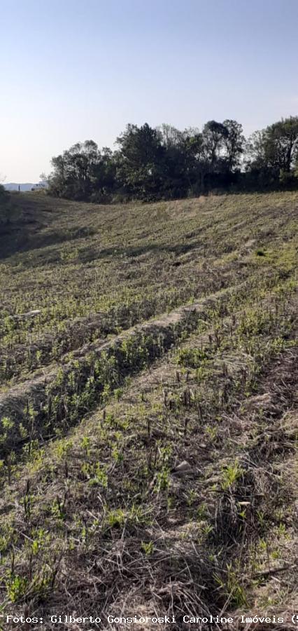 Loteamento e Condomínio à venda, 50000m² - Foto 8