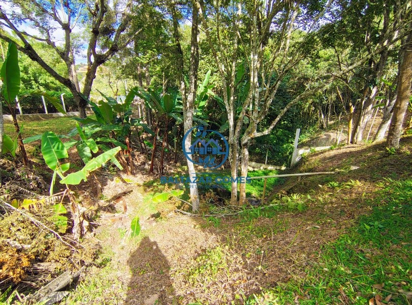 Chácara à venda com 3 quartos, 57000m² - Foto 5