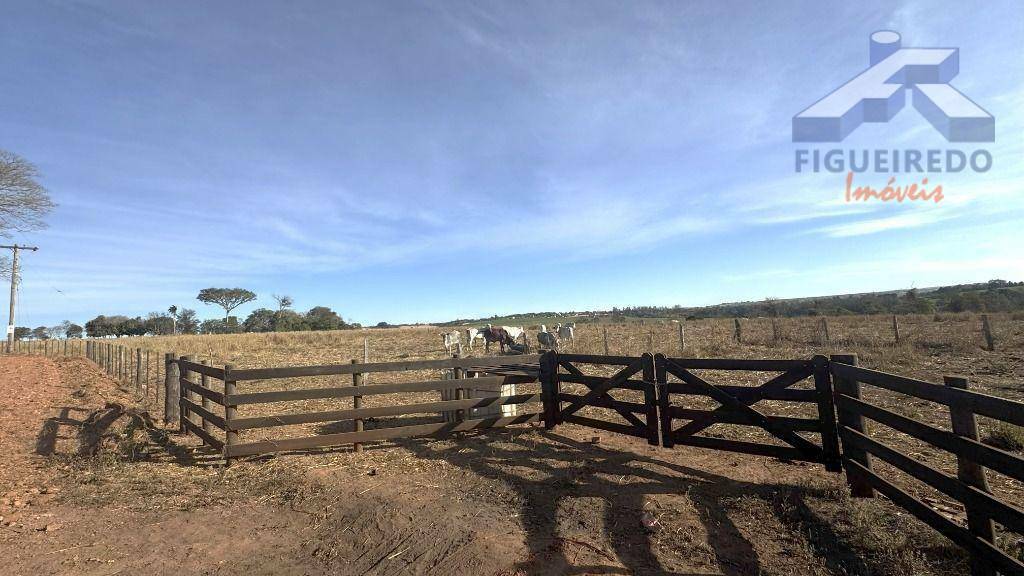 Sítio, 7 hectares - Foto 5