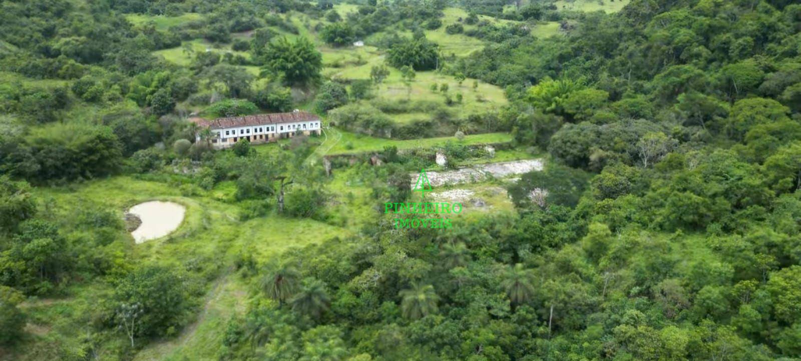 Fazenda à venda com 10 quartos, 1500m² - Foto 14