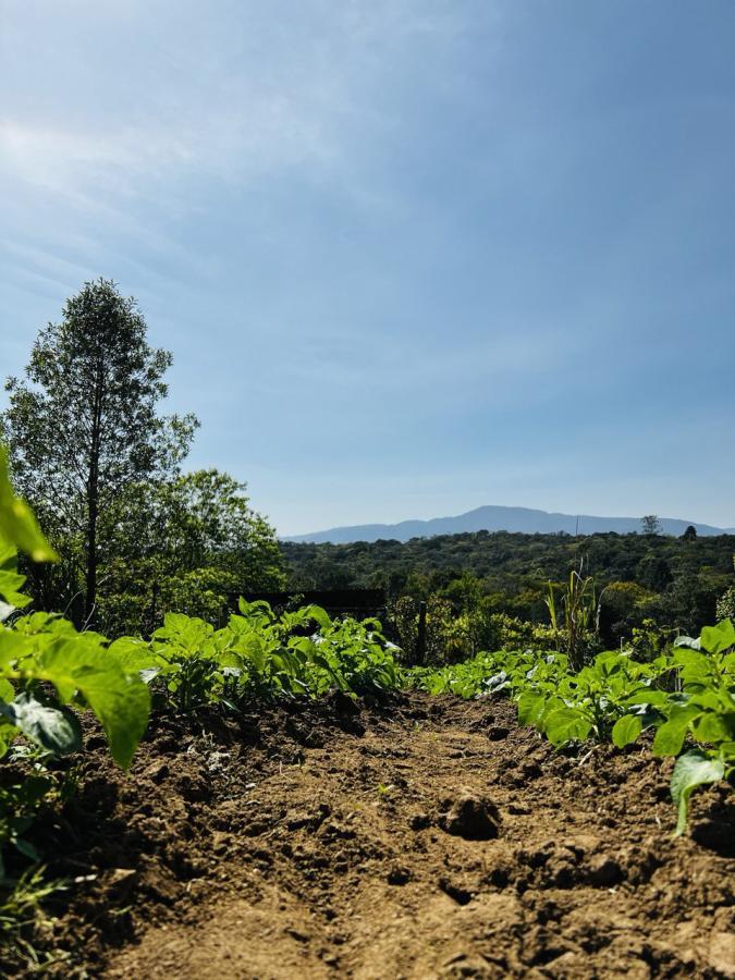 Fazenda à venda, 6300m² - Foto 39