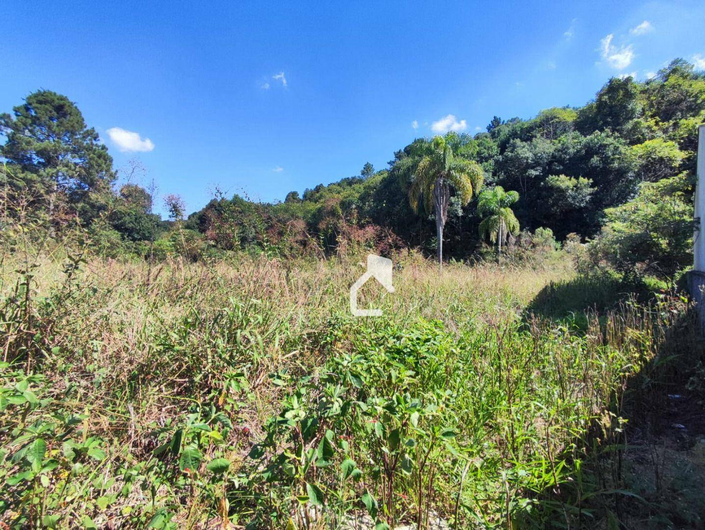 Terreno à venda, 300M2 - Foto 3