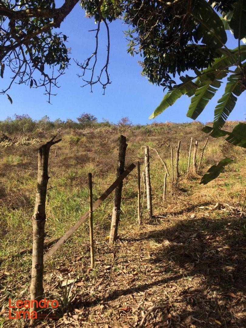 Terreno, 4 hectares - Foto 6