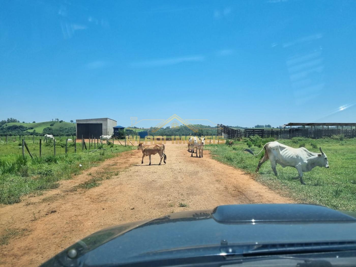 Fazenda à venda, 73m² - Foto 12