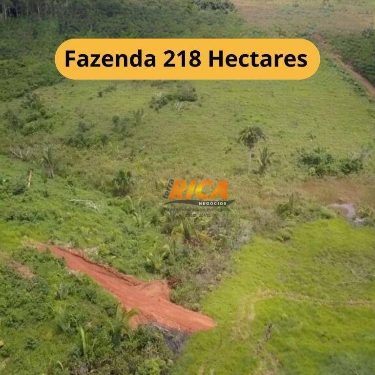 Fazenda-Sítio-Chácara, 218 hectares - Foto 1