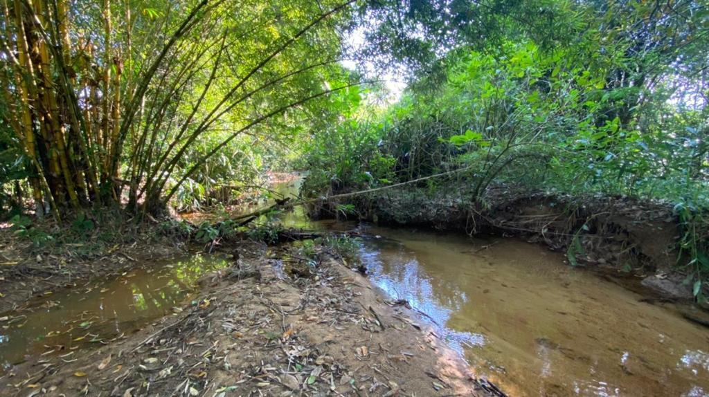 Fazenda-Sítio-Chácara, 1 hectares - Foto 4