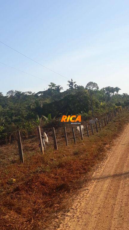 Fazenda, 200 hectares - Foto 5
