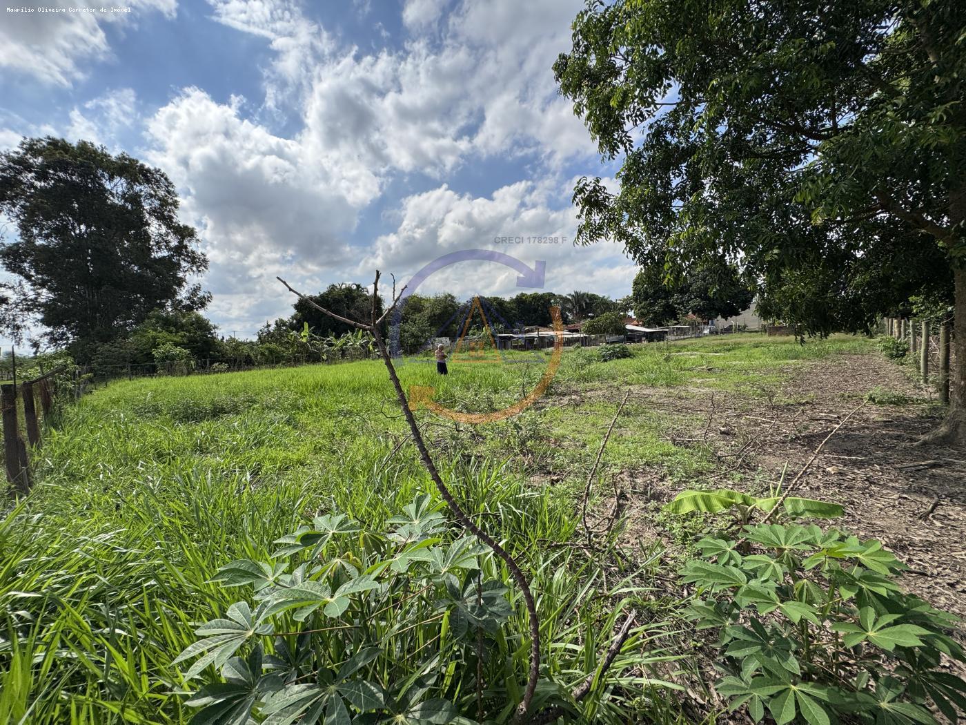 Fazenda à venda com 2 quartos, 1968m² - Foto 6