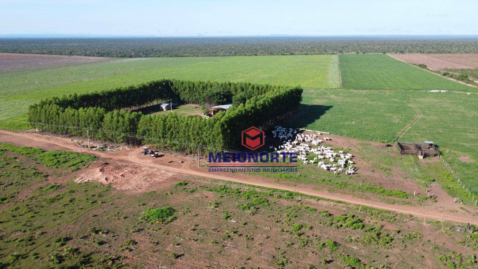 Fazenda à venda com 1 quarto, 7810000M2 - Foto 3