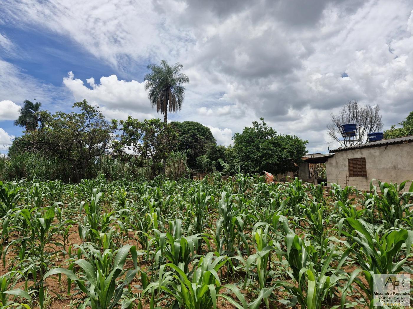 Terreno à venda, 364m² - Foto 6