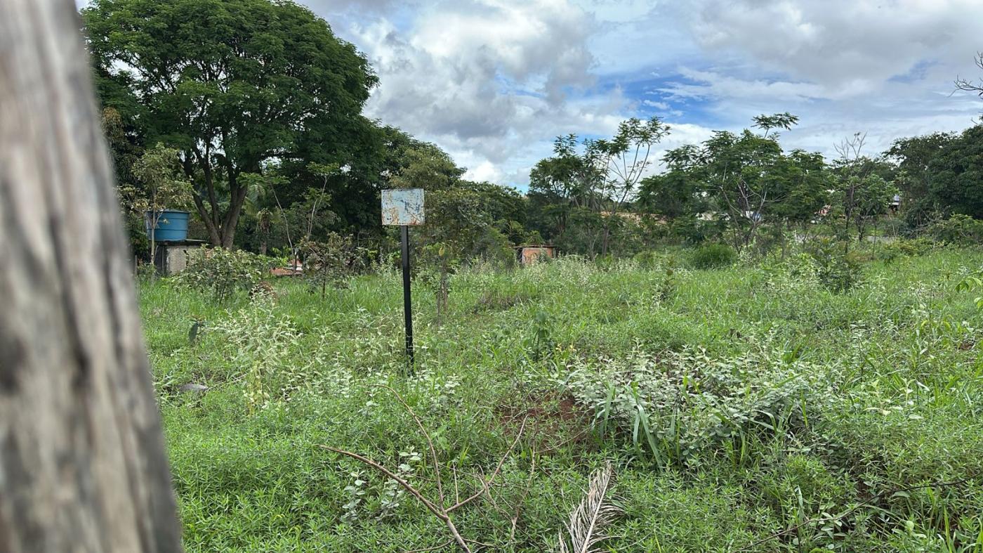 Fazenda à venda, 5000m² - Foto 3