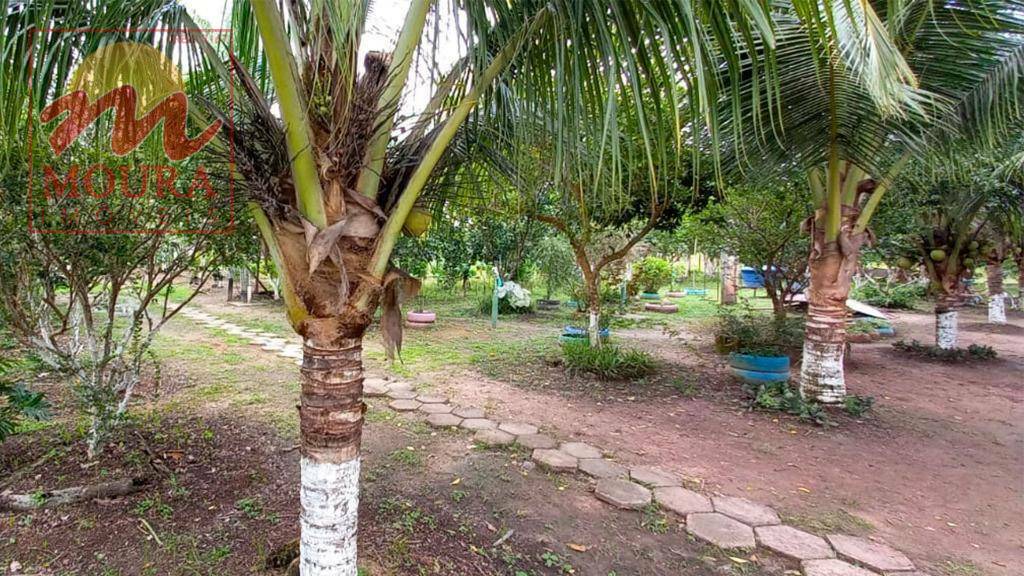 Sítio, 2 quartos, 3125 m² - Foto 3