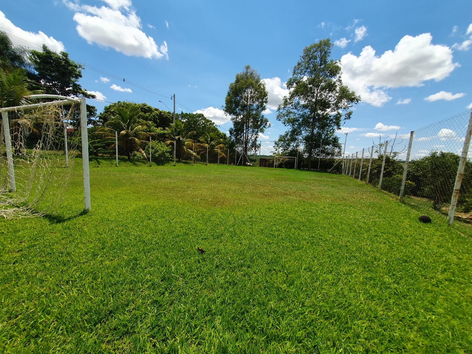 Fazenda à venda com 2 quartos, 5000m² - Foto 7