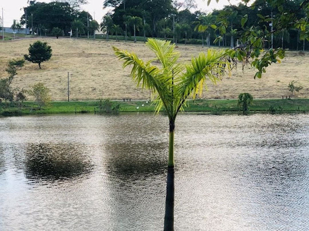 Loteamento e Condomínio à venda, 1010M2 - Foto 10