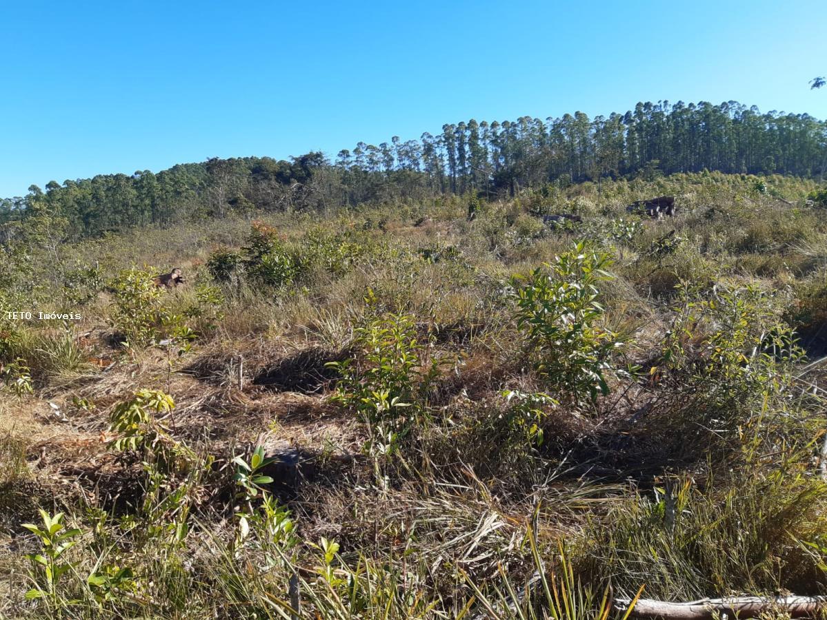 Fazenda à venda, 192m² - Foto 5