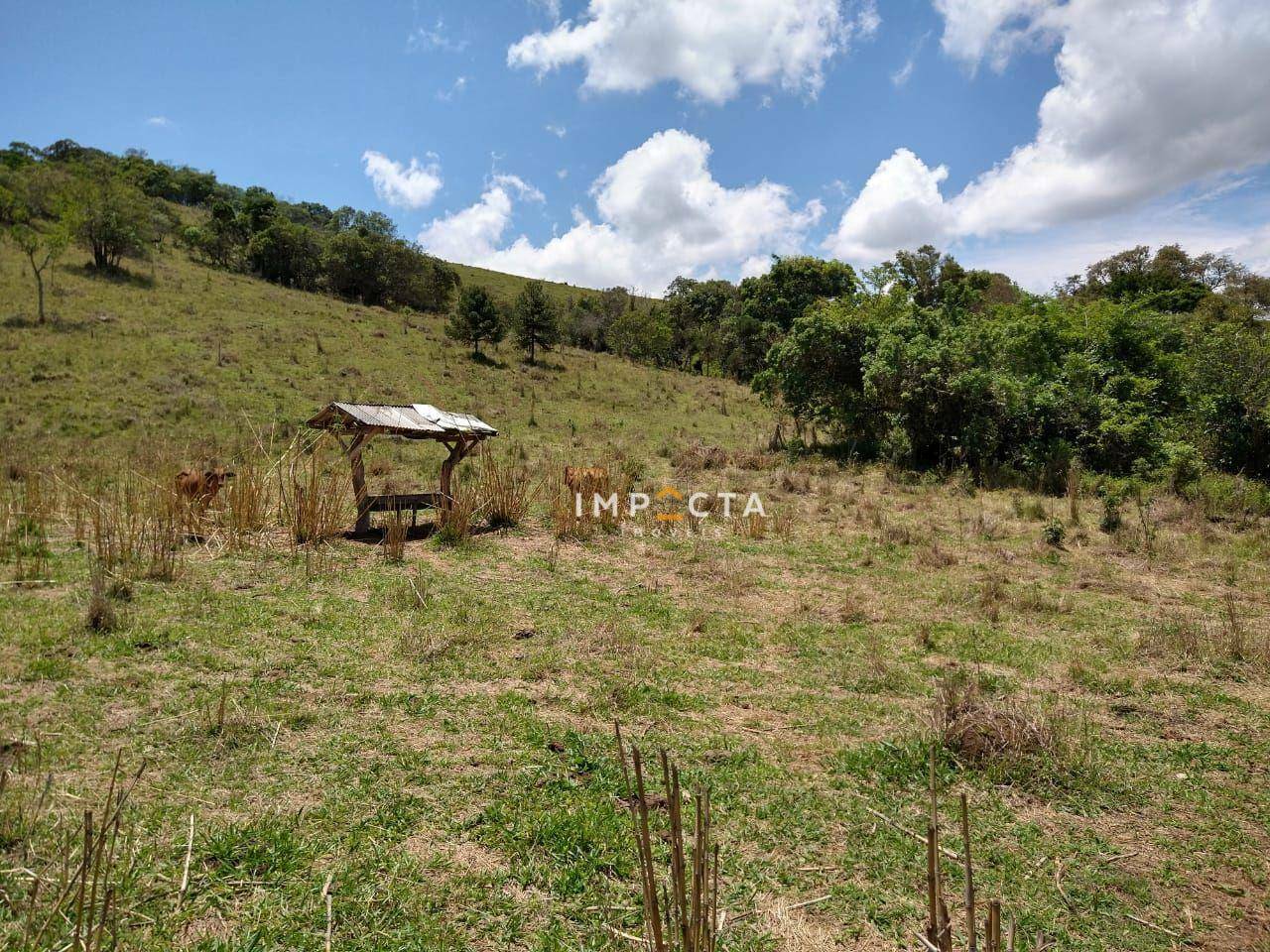 Sítio à venda com 3 quartos, 58000M2 - Foto 69