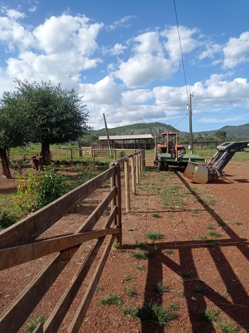 Fazenda à venda, 250m² - Foto 8