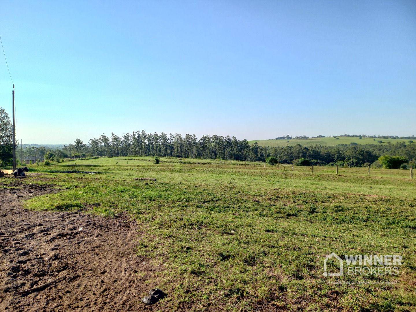 Sítio, 8 hectares - Foto 5