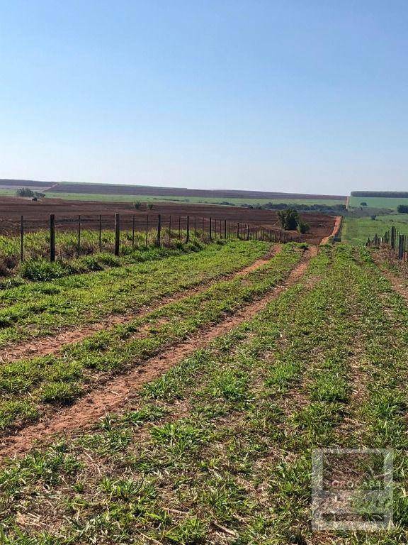 Fazenda à venda, 26136000M2 - Foto 9