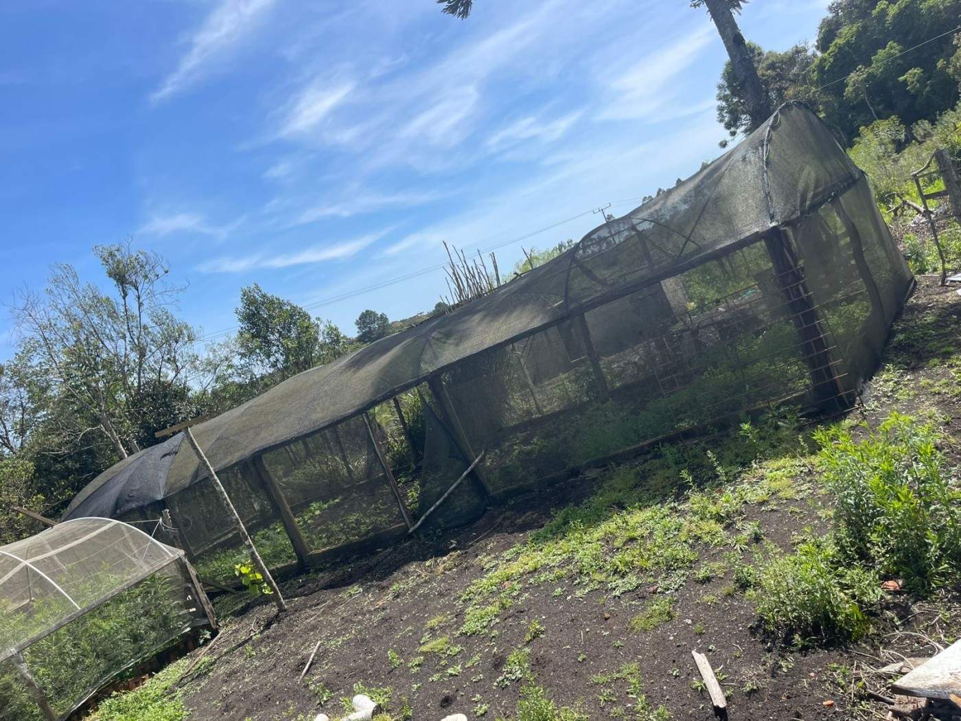 Chácara, 10000 m² - Foto 16