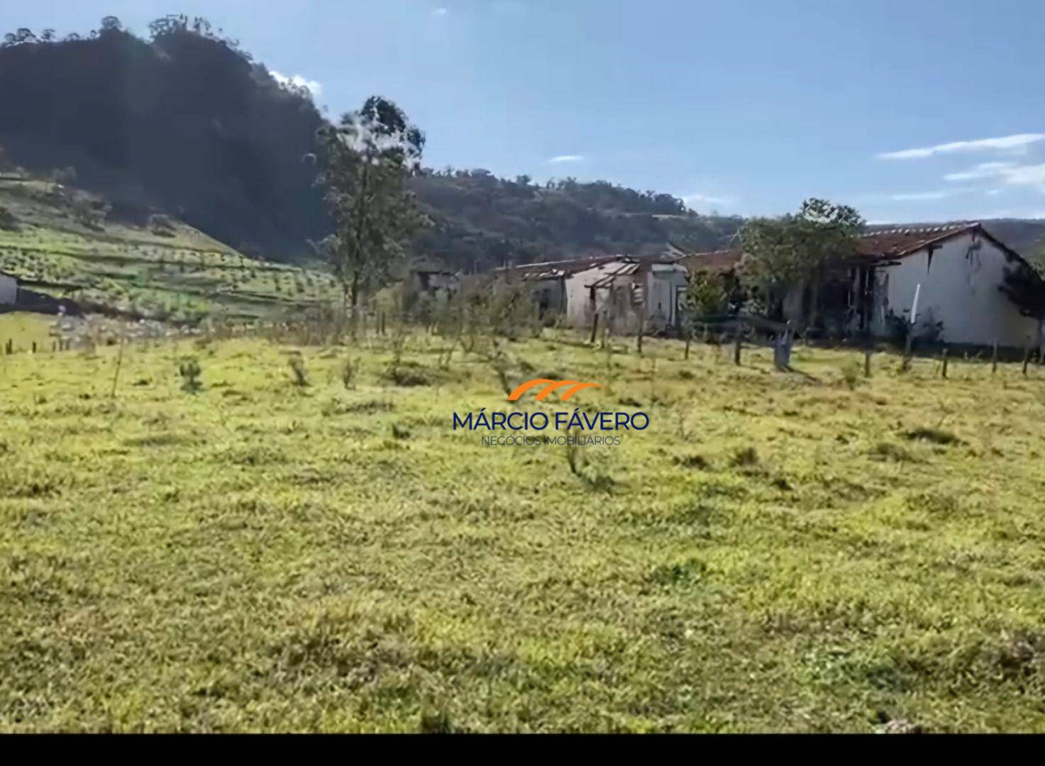 Fazenda, 111 hectares - Foto 7