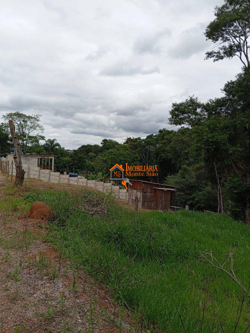 Terreno, 5000 m² - Foto 5