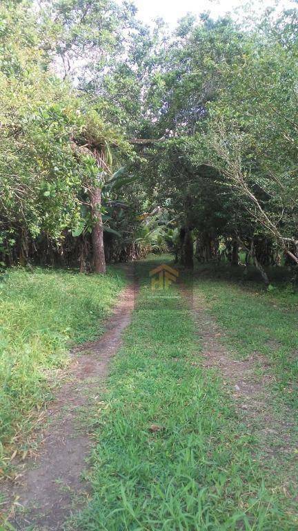 Chácara, 6 quartos, 7 hectares - Foto 3