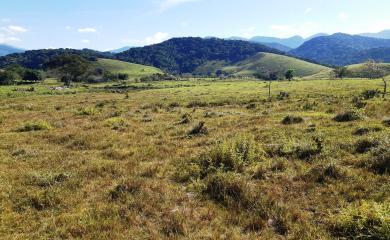 Fazenda à venda com 2 quartos, 270000m² - Foto 10