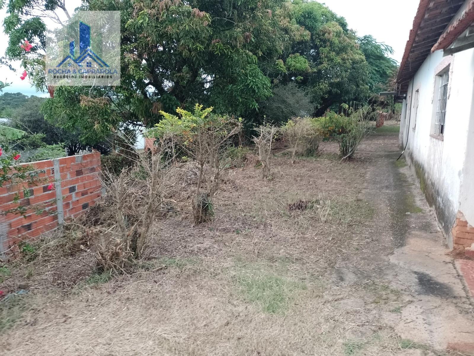 Fazenda à venda com 3 quartos, 2760m² - Foto 5