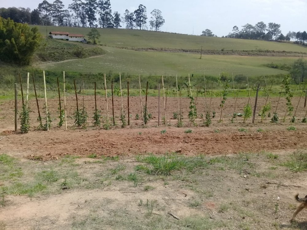 Fazenda à venda, 10m² - Foto 10