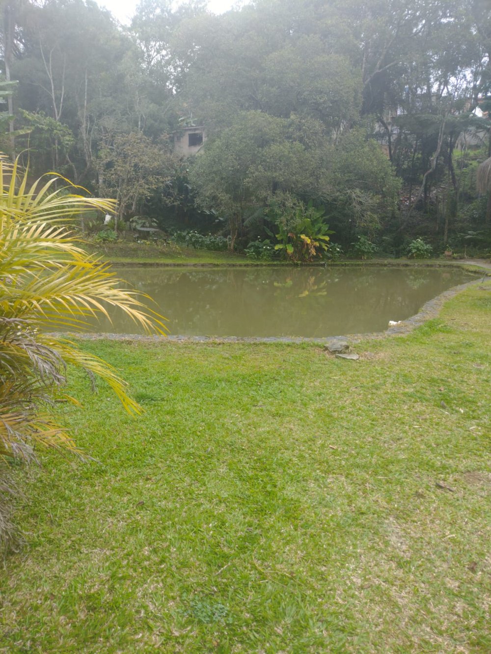 Fazenda à venda com 4 quartos, 4500m² - Foto 8