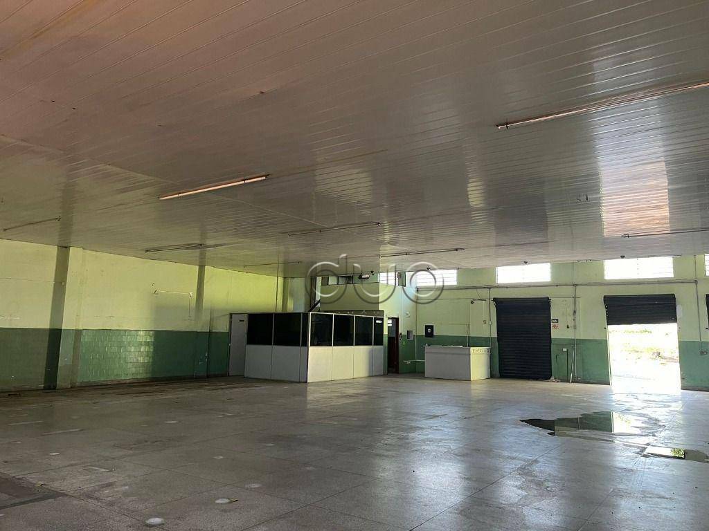 Depósito-Galpão-Armazém à venda e aluguel, 379m² - Foto 4