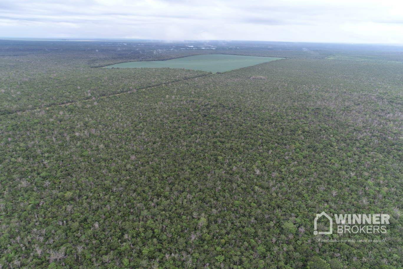 Fazenda-Sítio-Chácara, 563 hectares - Foto 9