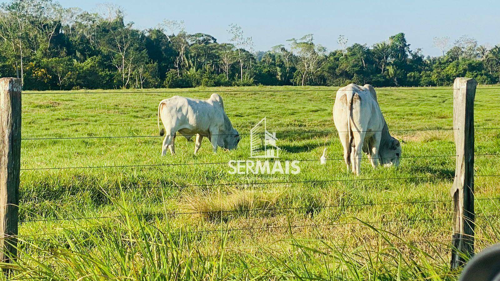 Fazenda à venda, 562M2 - Foto 10