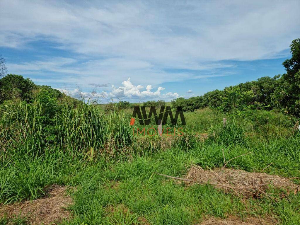 Fazenda à venda, 70000000M2 - Foto 16