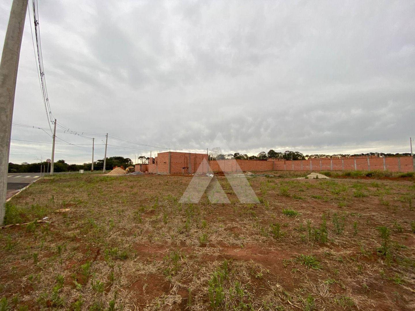 Terreno, 250 m² - Foto 1