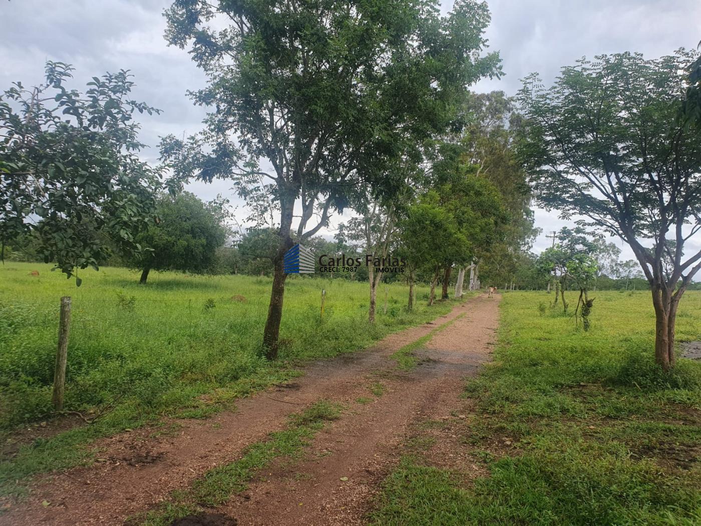 Fazenda à venda com 4 quartos, 300m² - Foto 18