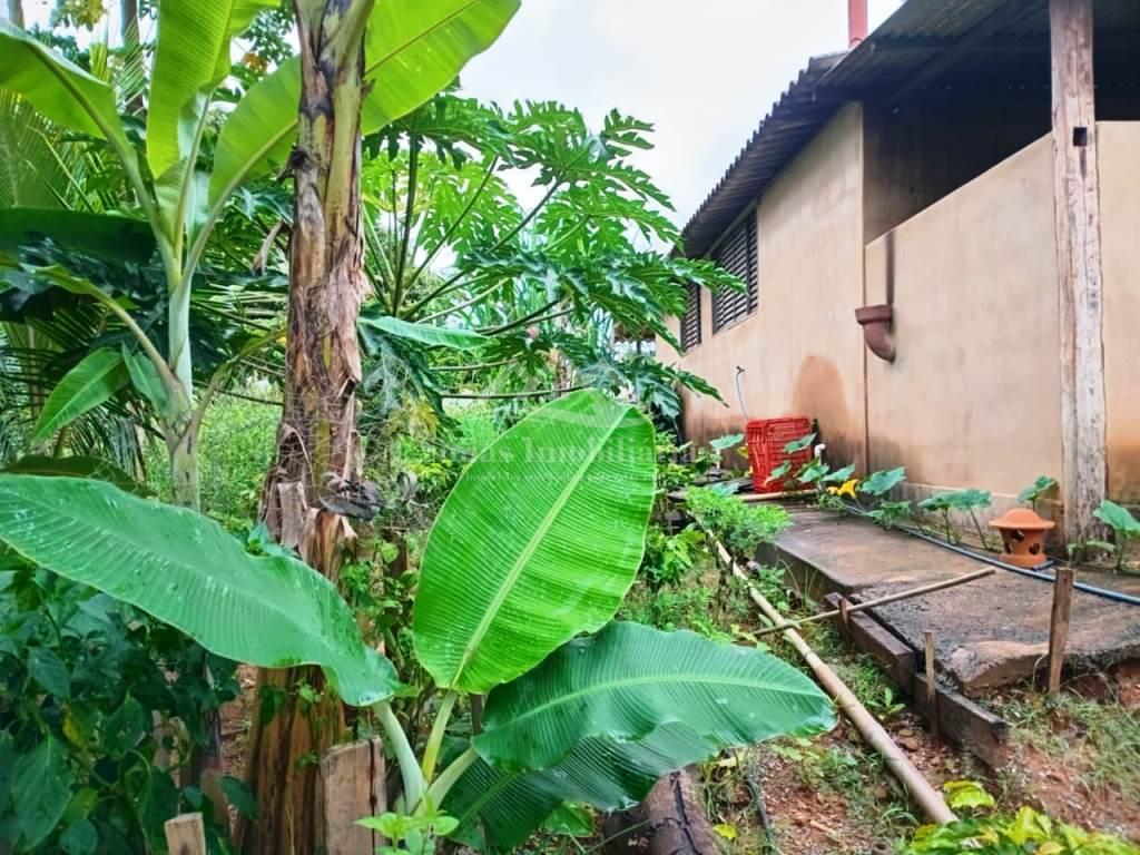 Fazenda à venda com 3 quartos, 1890m² - Foto 5