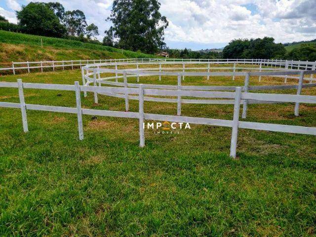 Sítio à venda com 2 quartos, 60500M2 - Foto 8