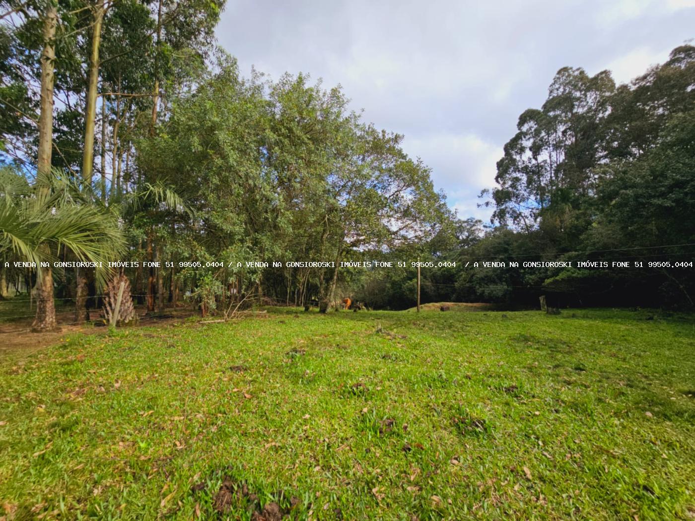 Sítio à venda, 30000m² - Foto 32